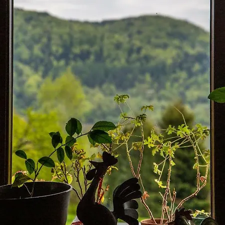 Barnilka