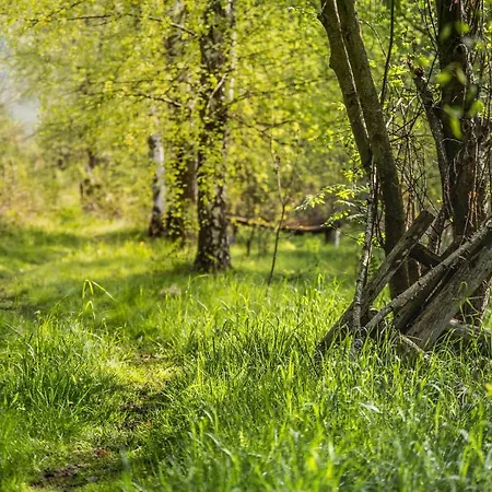 Barnilka منزل ريفي *