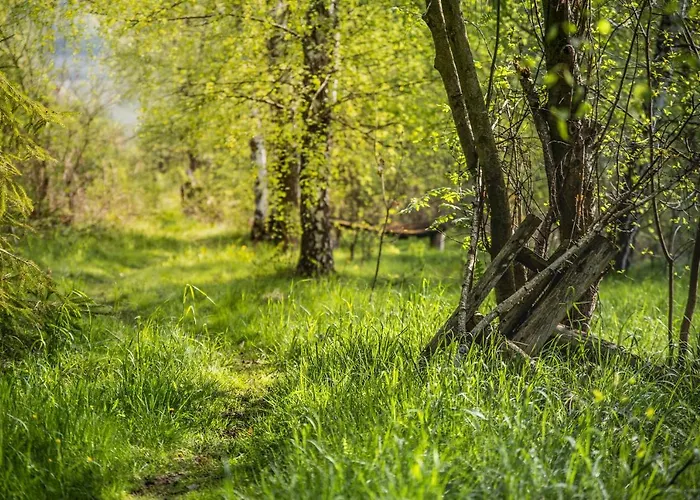 Barnilka Casa di campagna *